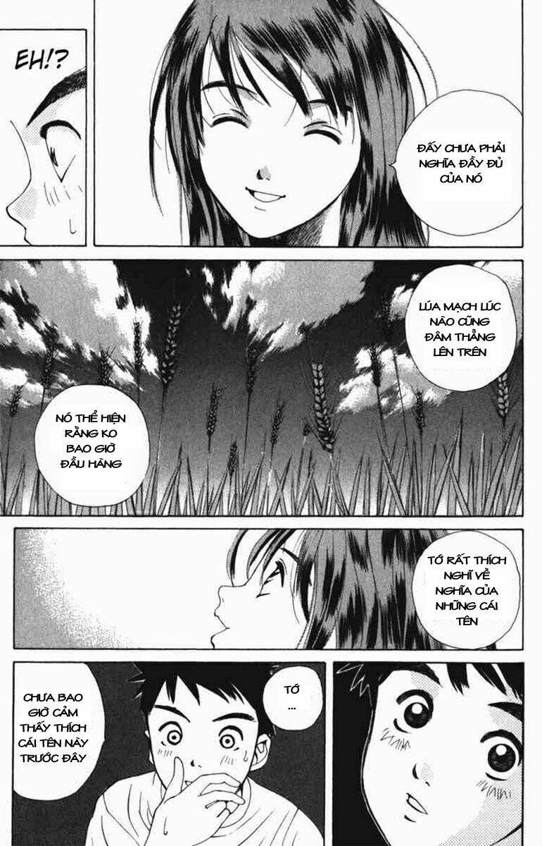 page_30.jpg