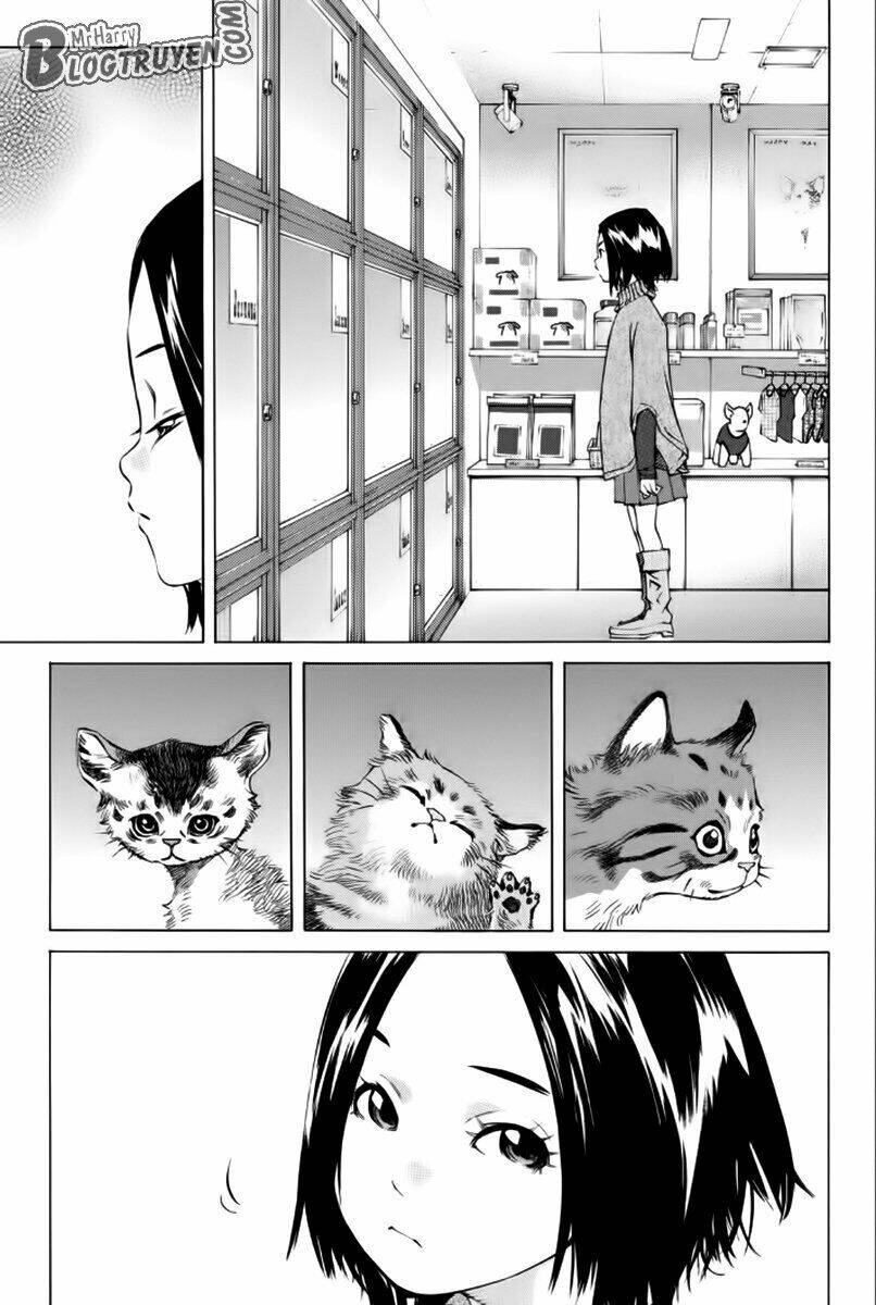 page_20.jpg