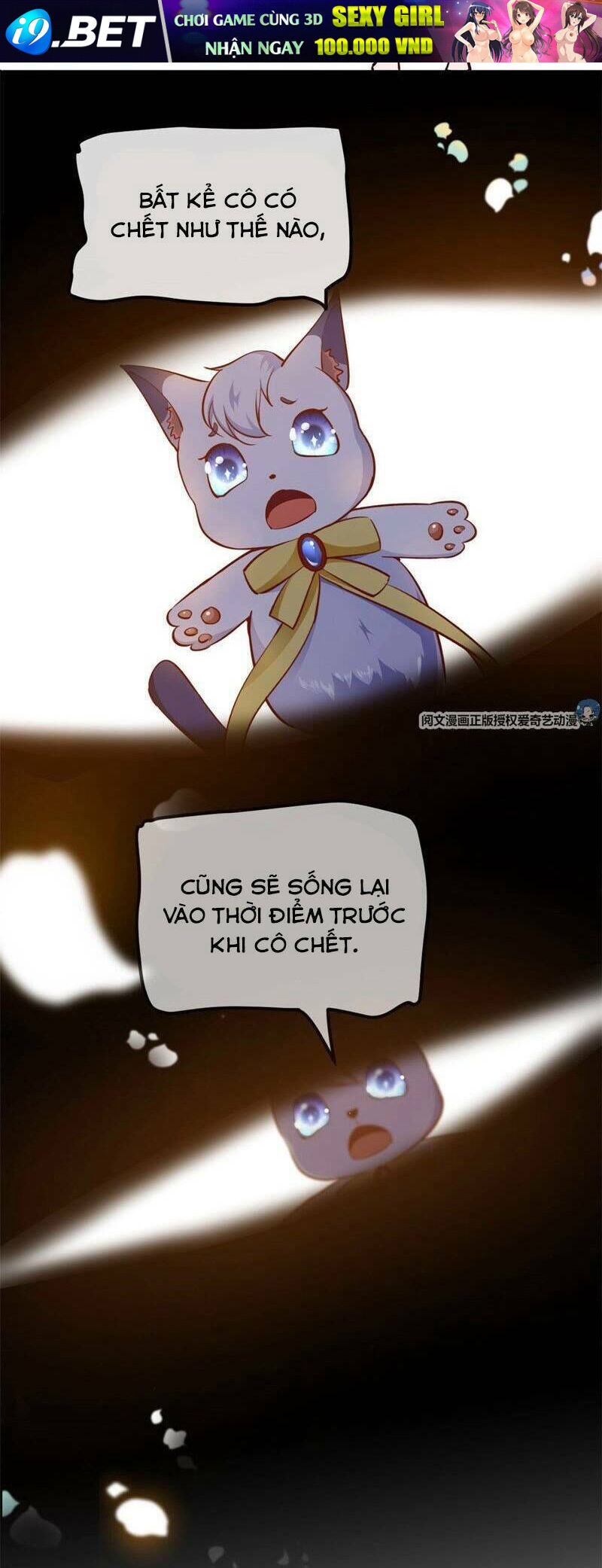page_13.jpg