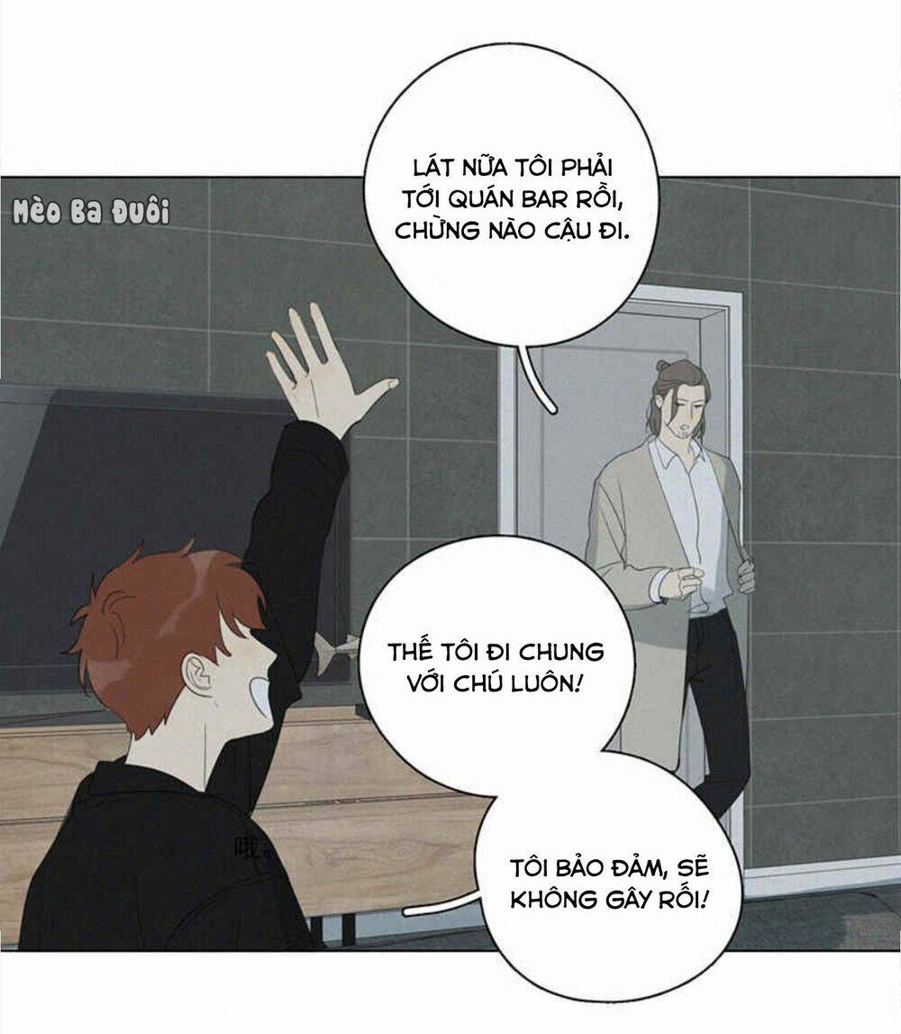 page_23.jpg