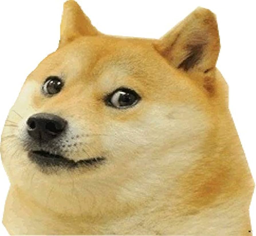 doge.jpg
