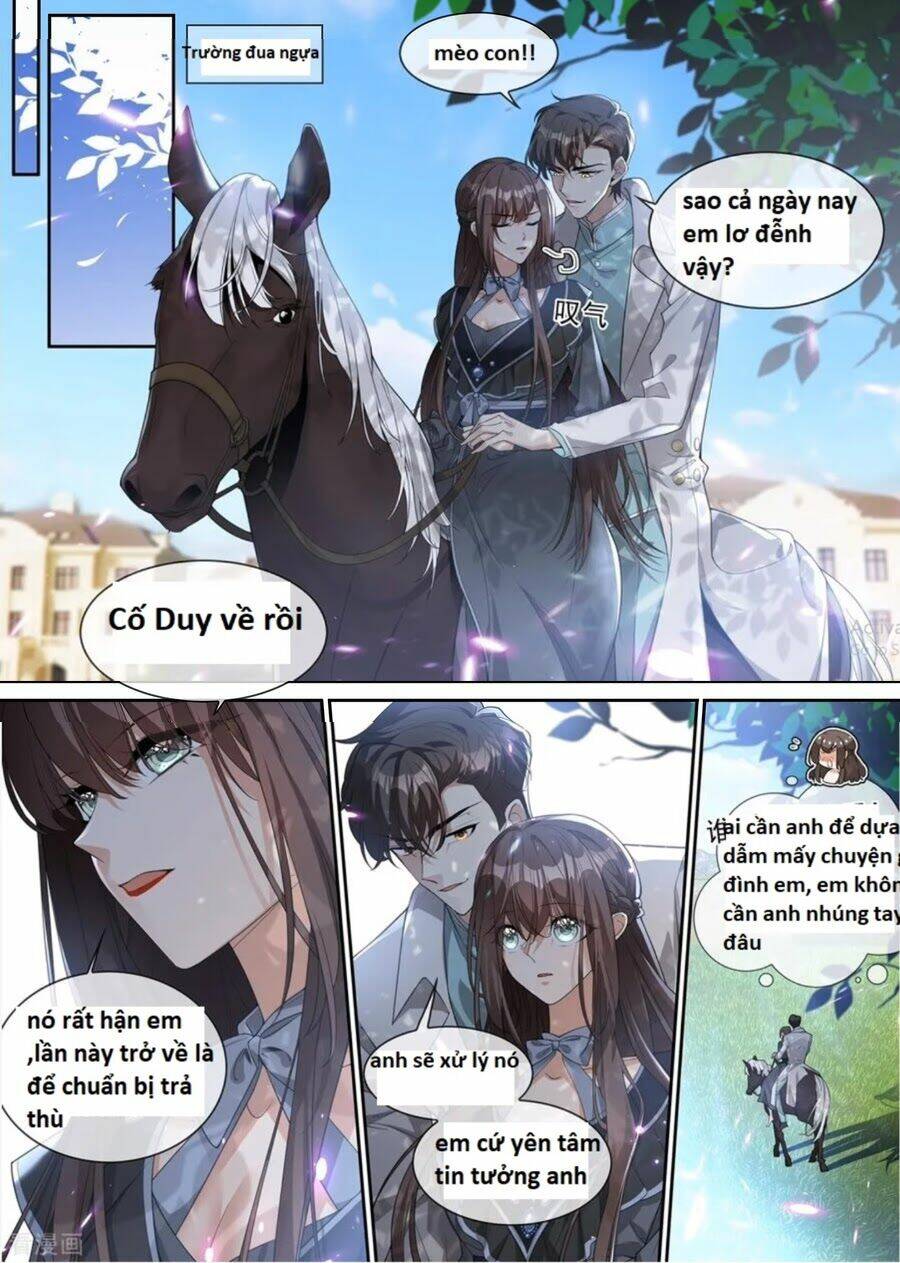 page_8.jpg