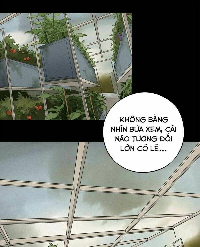page_4.jpg