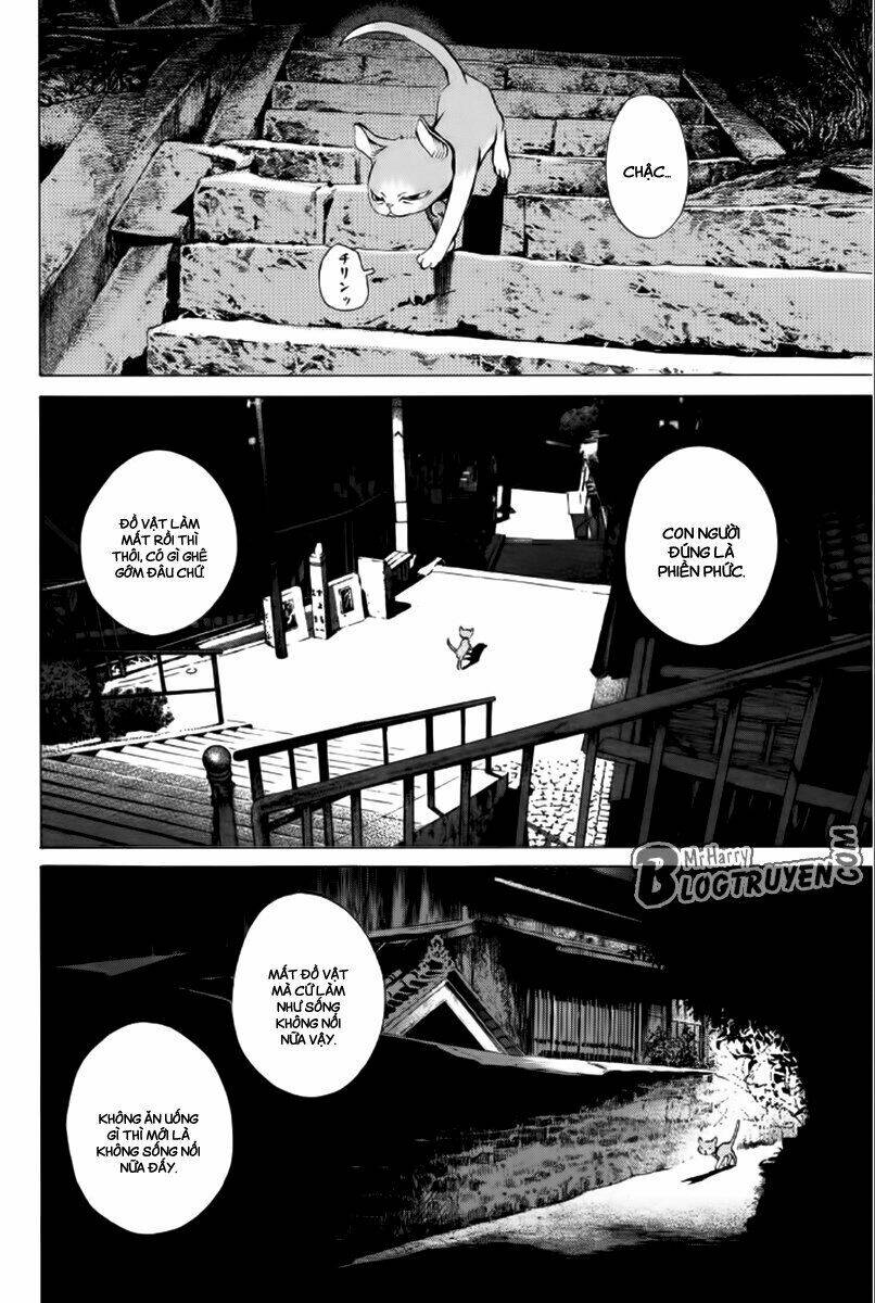 page_17.jpg