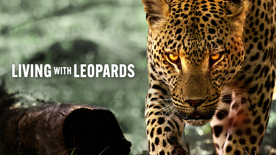 living-with-leopards-poster.jpg