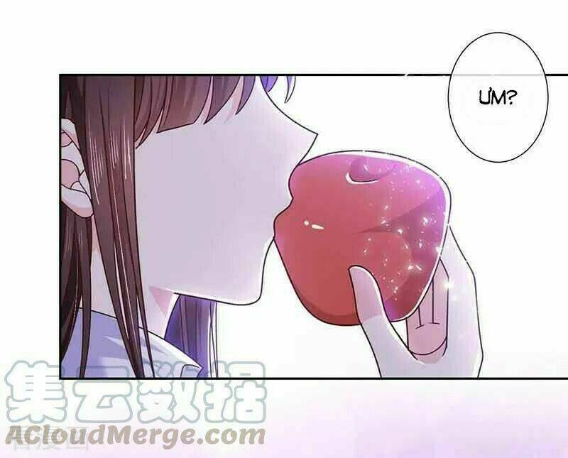 page_28.jpg