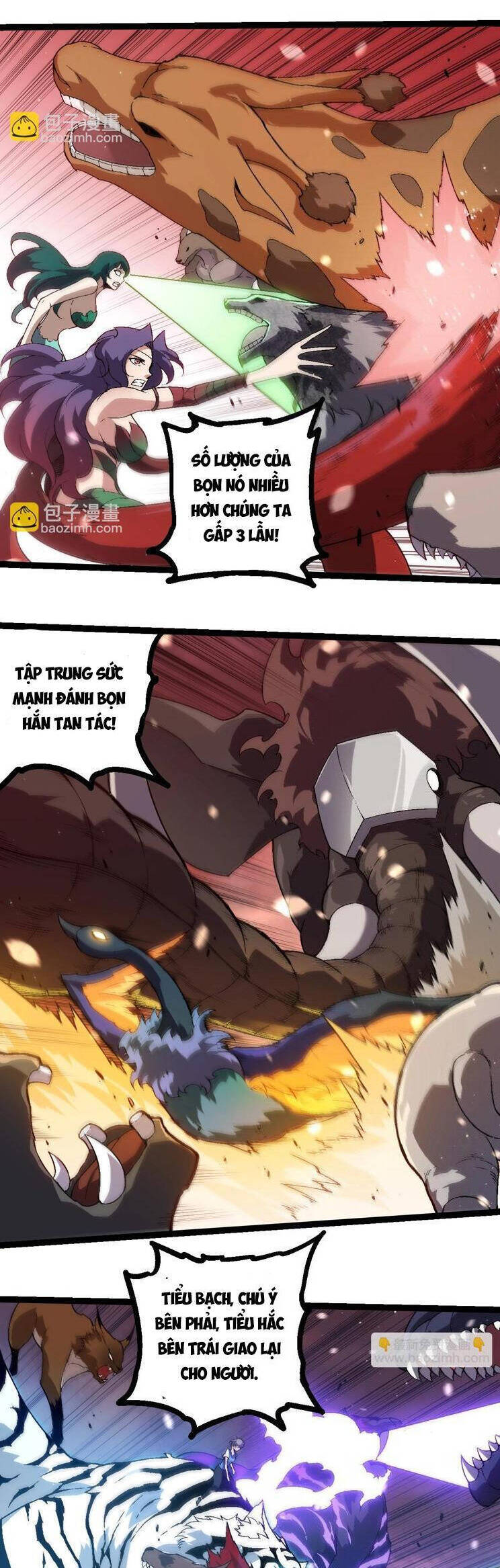 page_11.jpg