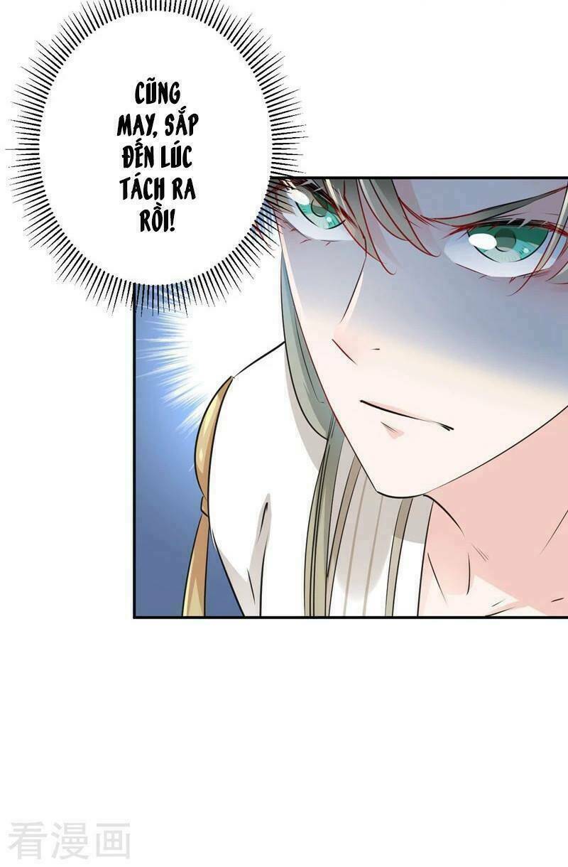 page_19.jpg