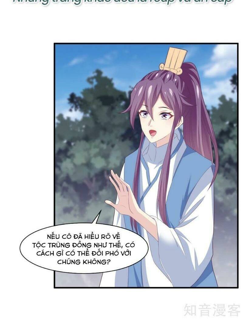 page_17.jpg