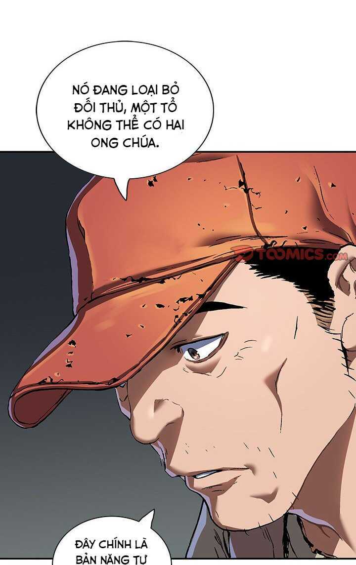 page_42.jpg