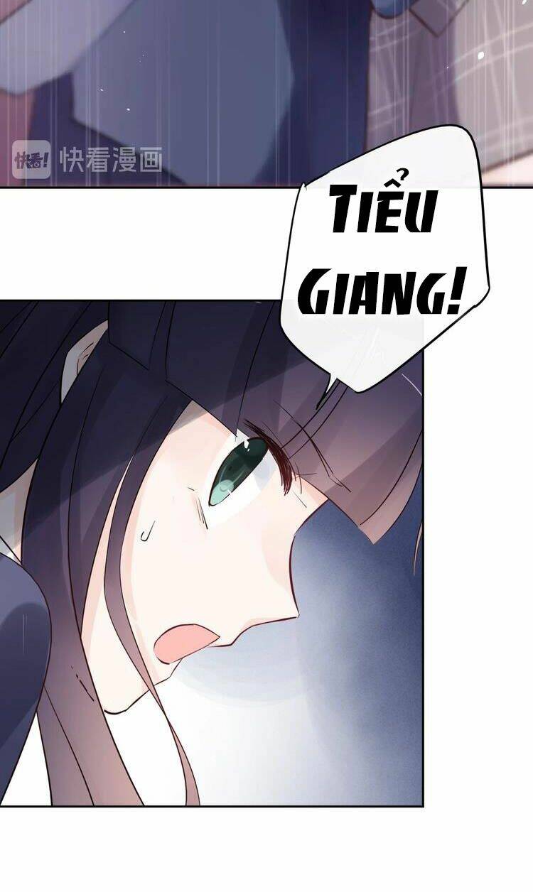 page_26.jpg
