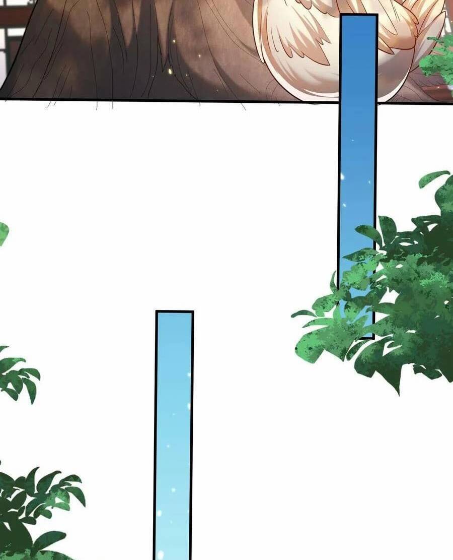 page_12.jpg