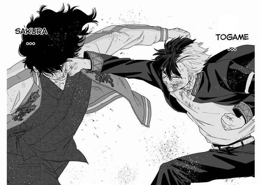 page_15.jpg