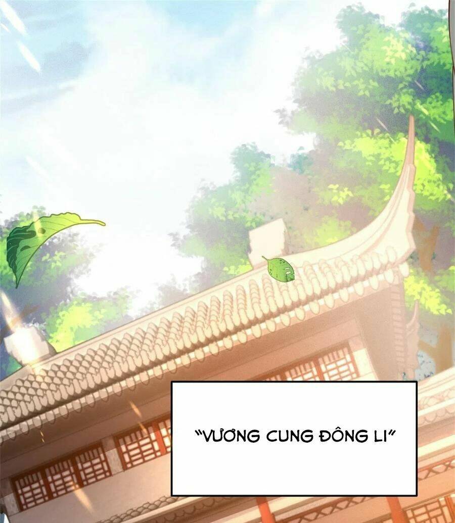 page_26.jpg