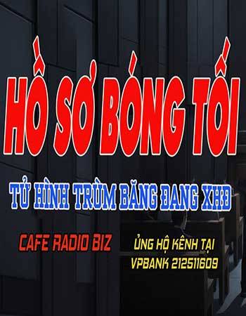 truyen-trinh-thanh-ho-so-bong-toi.jpg