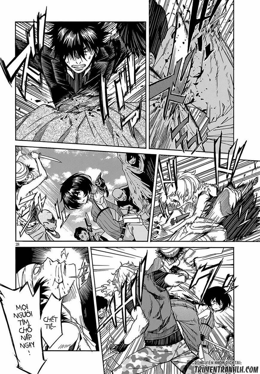 page_29.jpg