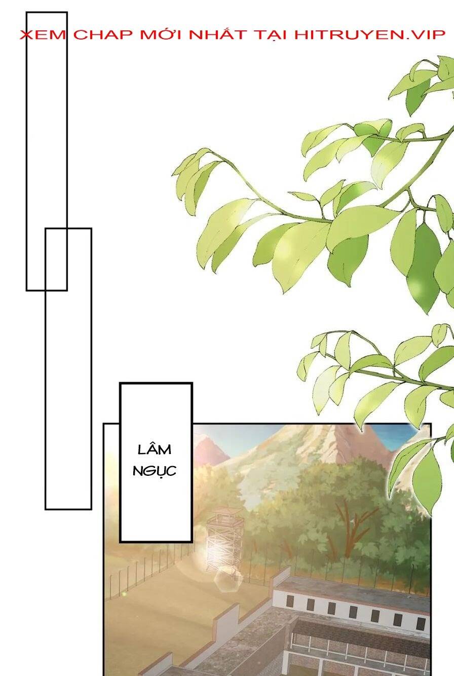 page_25.jpg