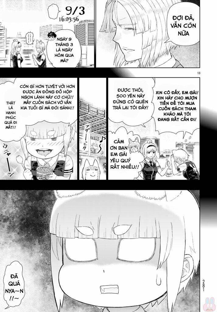 page_13.jpg
