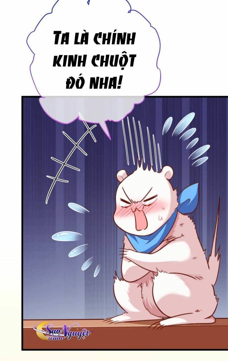 page_25.jpg