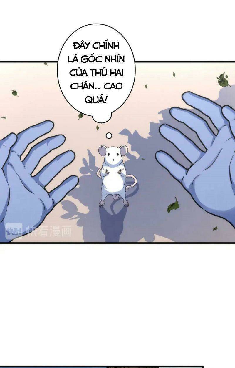 page_8.jpg