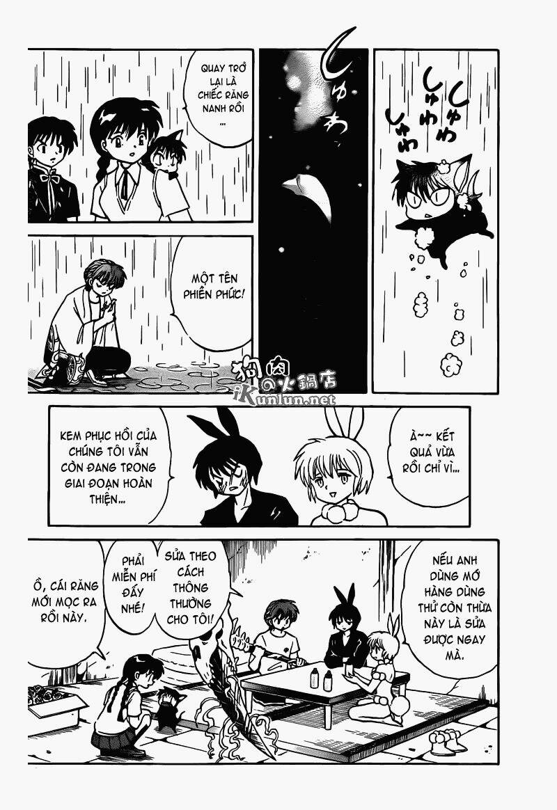 page_19.jpg