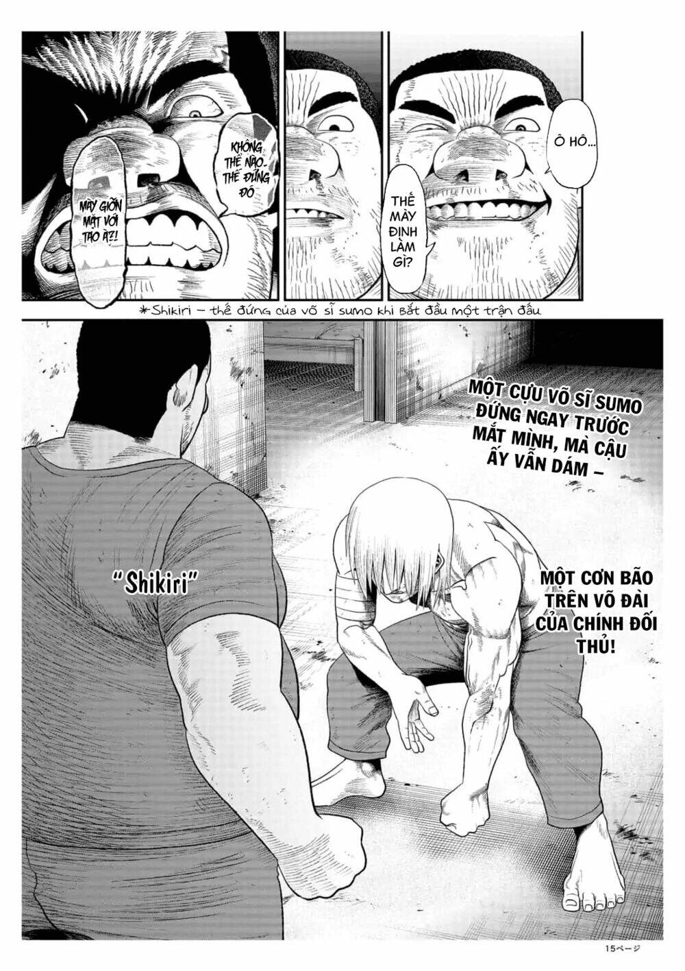 page_16.jpg