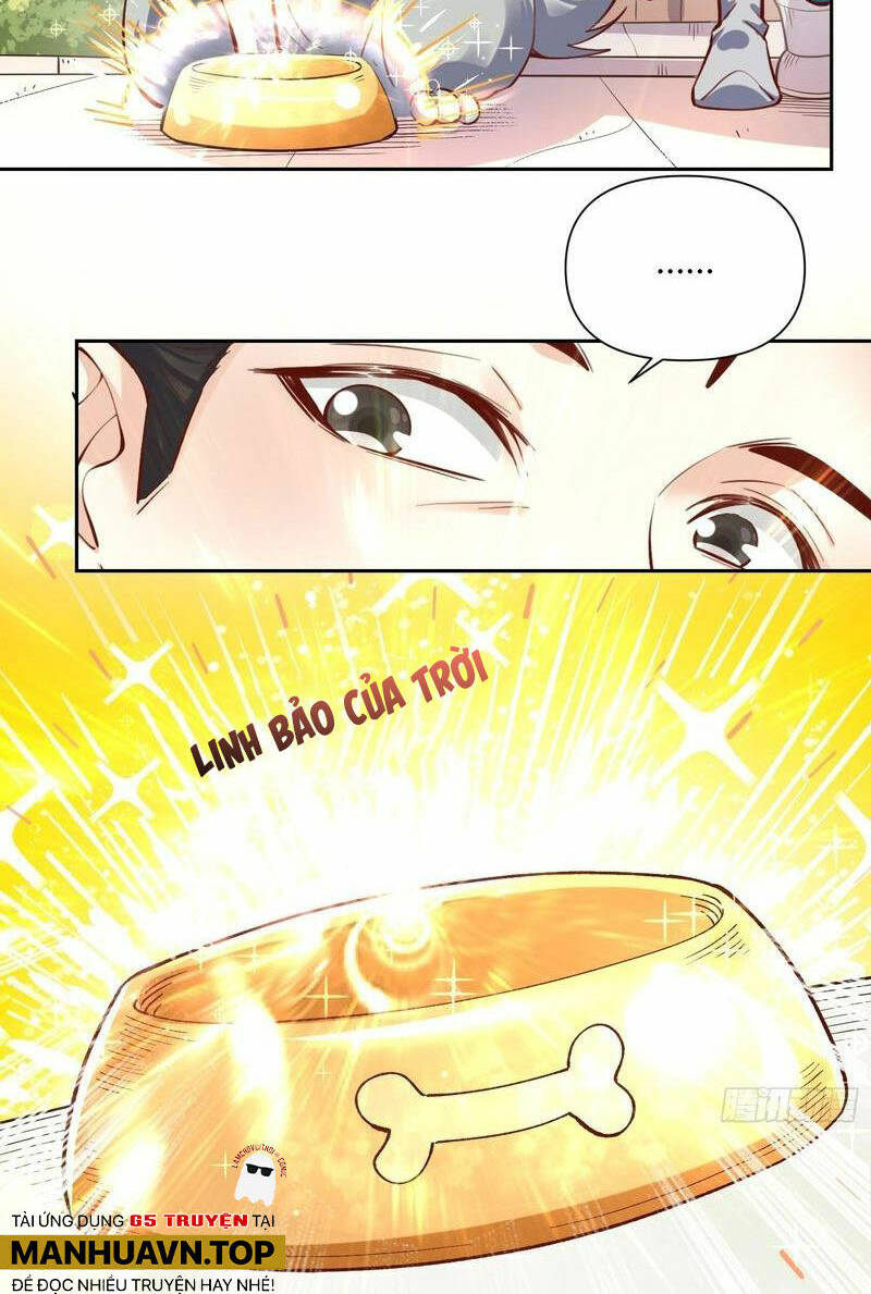 page_14.jpg