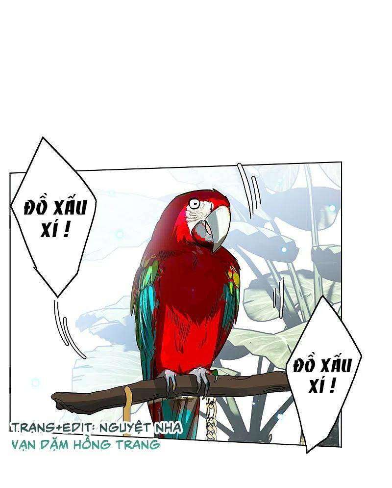 page_24.jpg