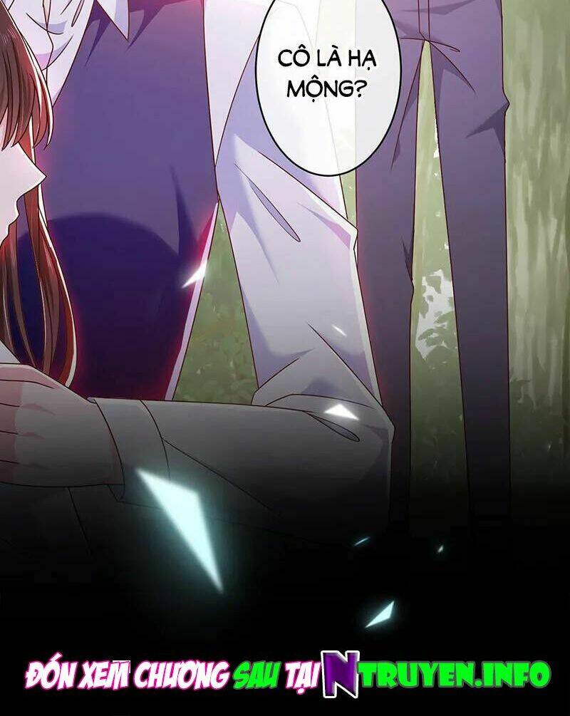 page_35.jpg