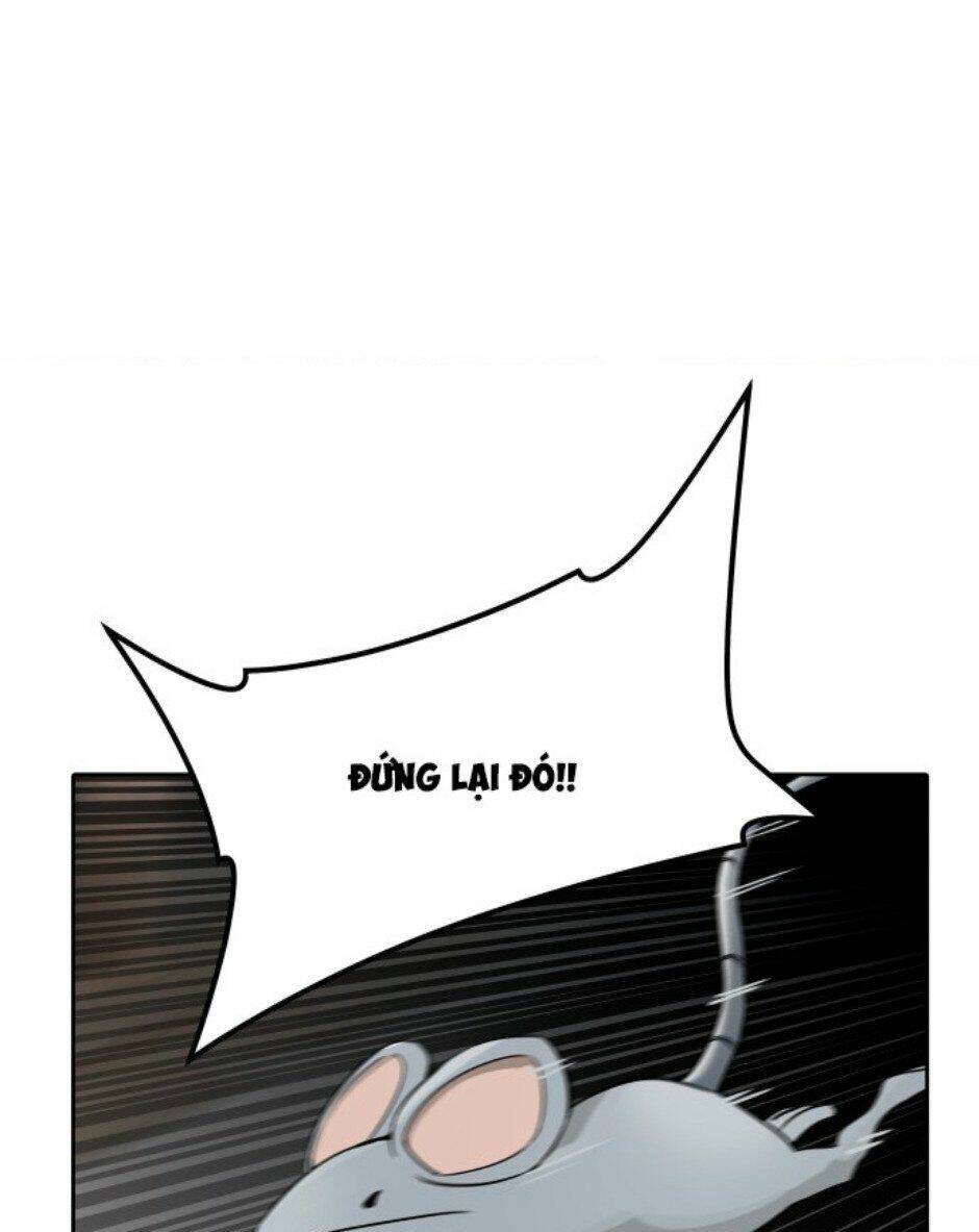page_32.jpg
