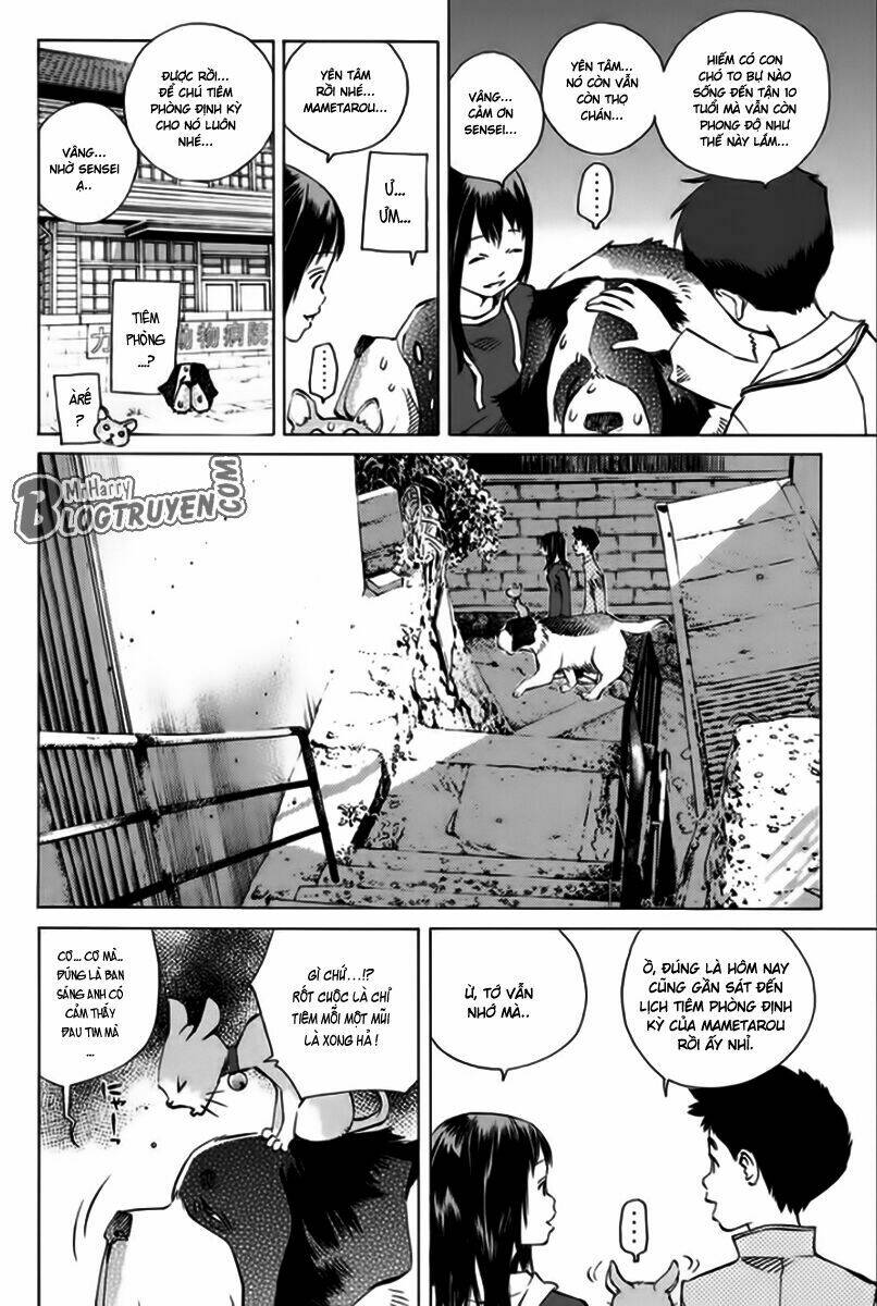 page_37.jpg