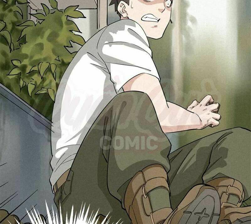 page_33.jpg