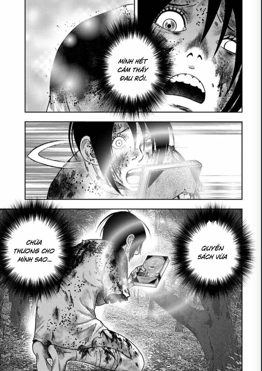page_13.jpg