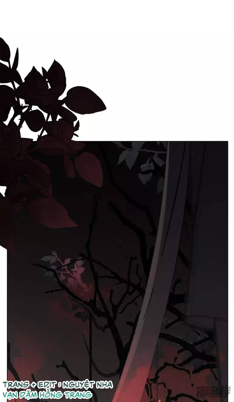page_19.jpg