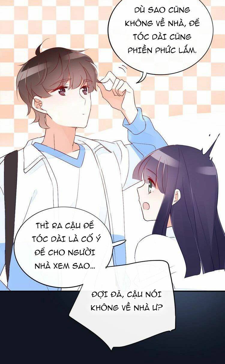 page_35.jpg