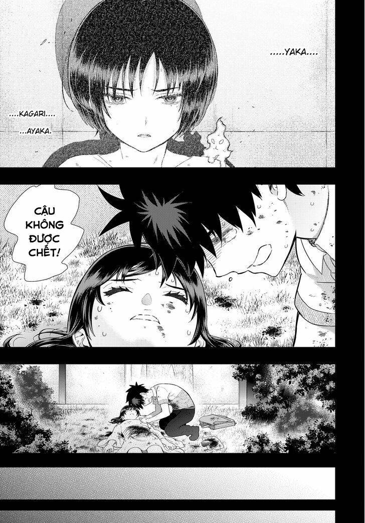 page_19.jpg