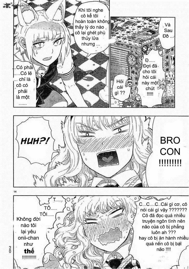 page_14.jpg