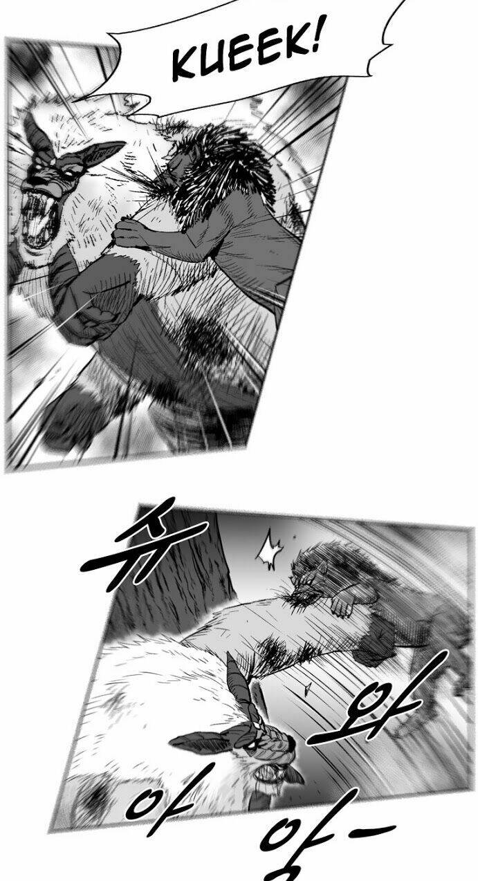 page_5.jpg