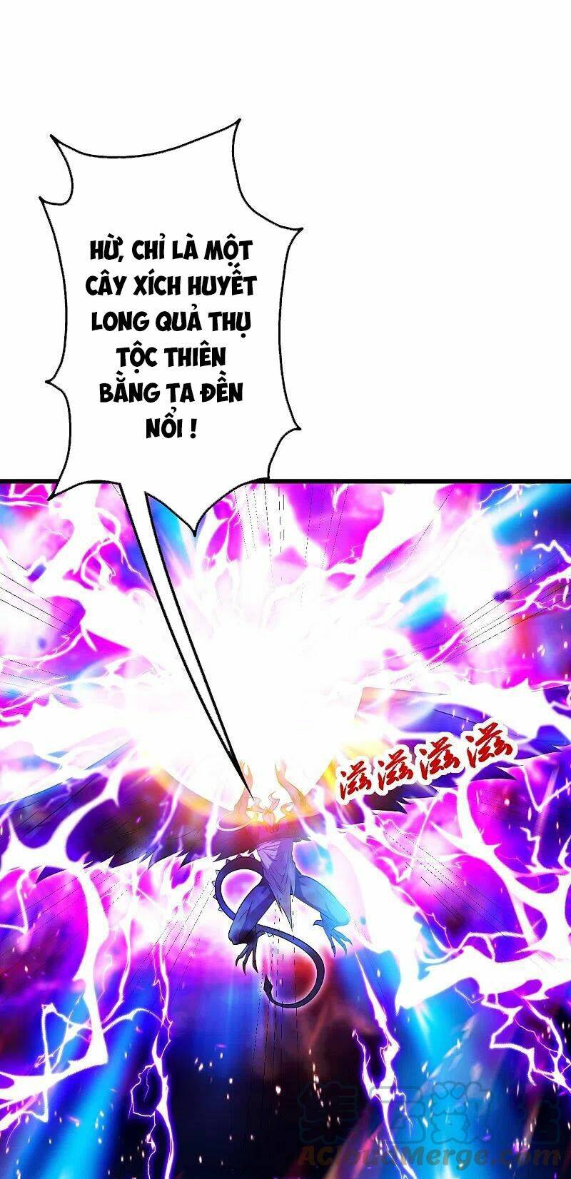 page_28.jpg