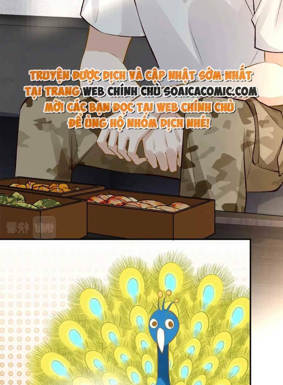 page_6.jpg