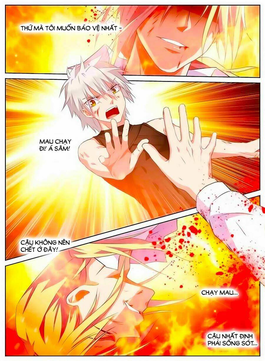 page_3.jpg