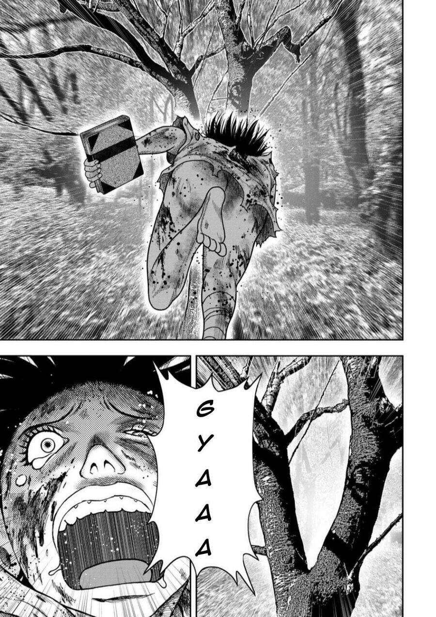 page_19.jpg