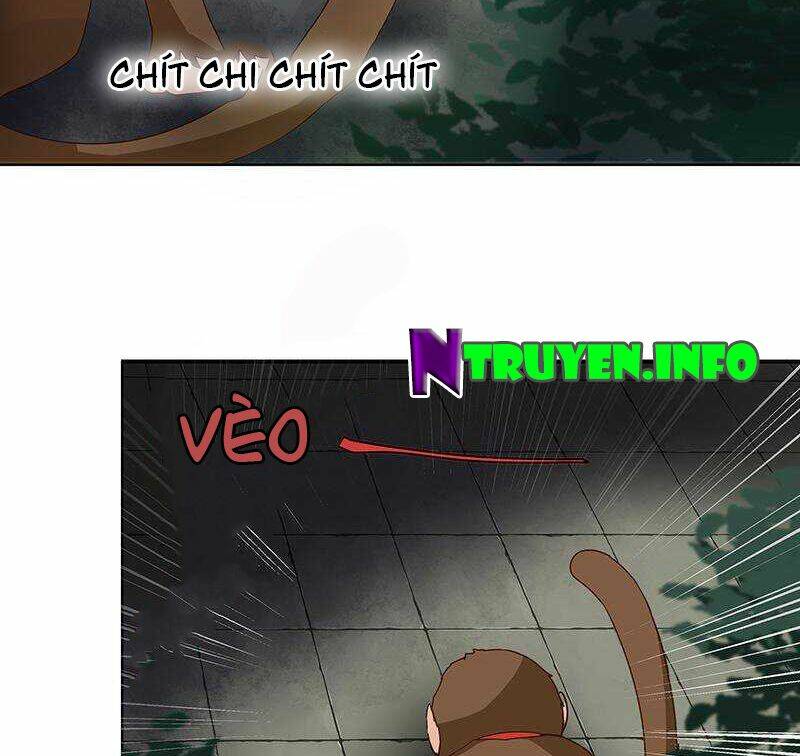 page_40.jpg