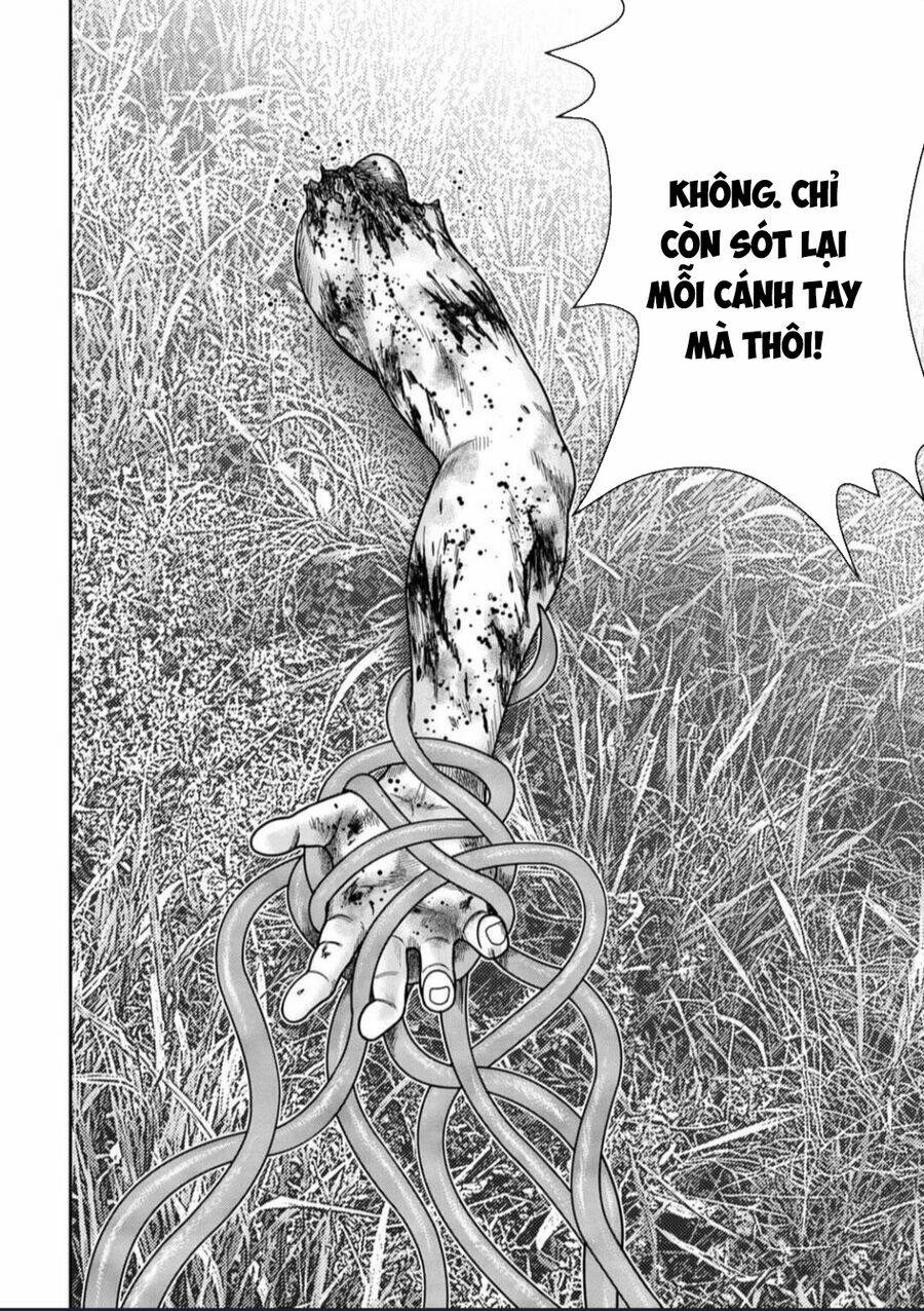 page_26.jpg