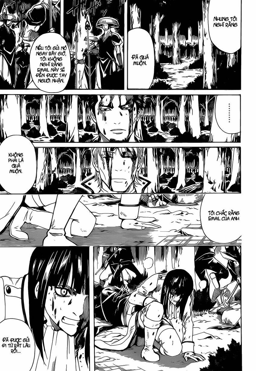 page_11.jpg