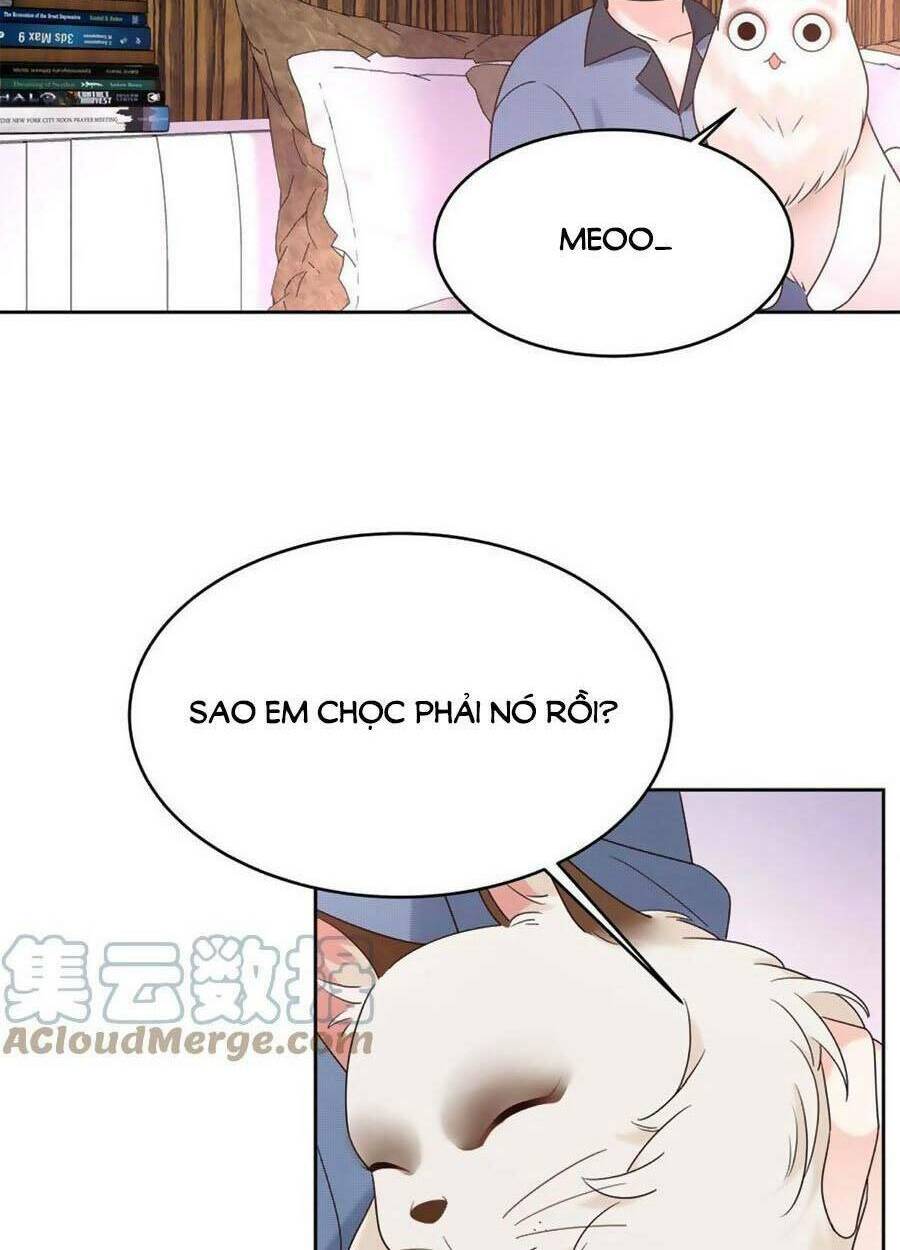 page_41.jpg