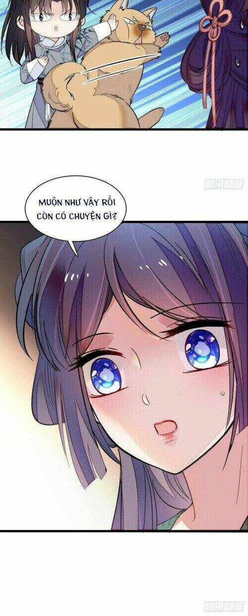 page_11.jpg