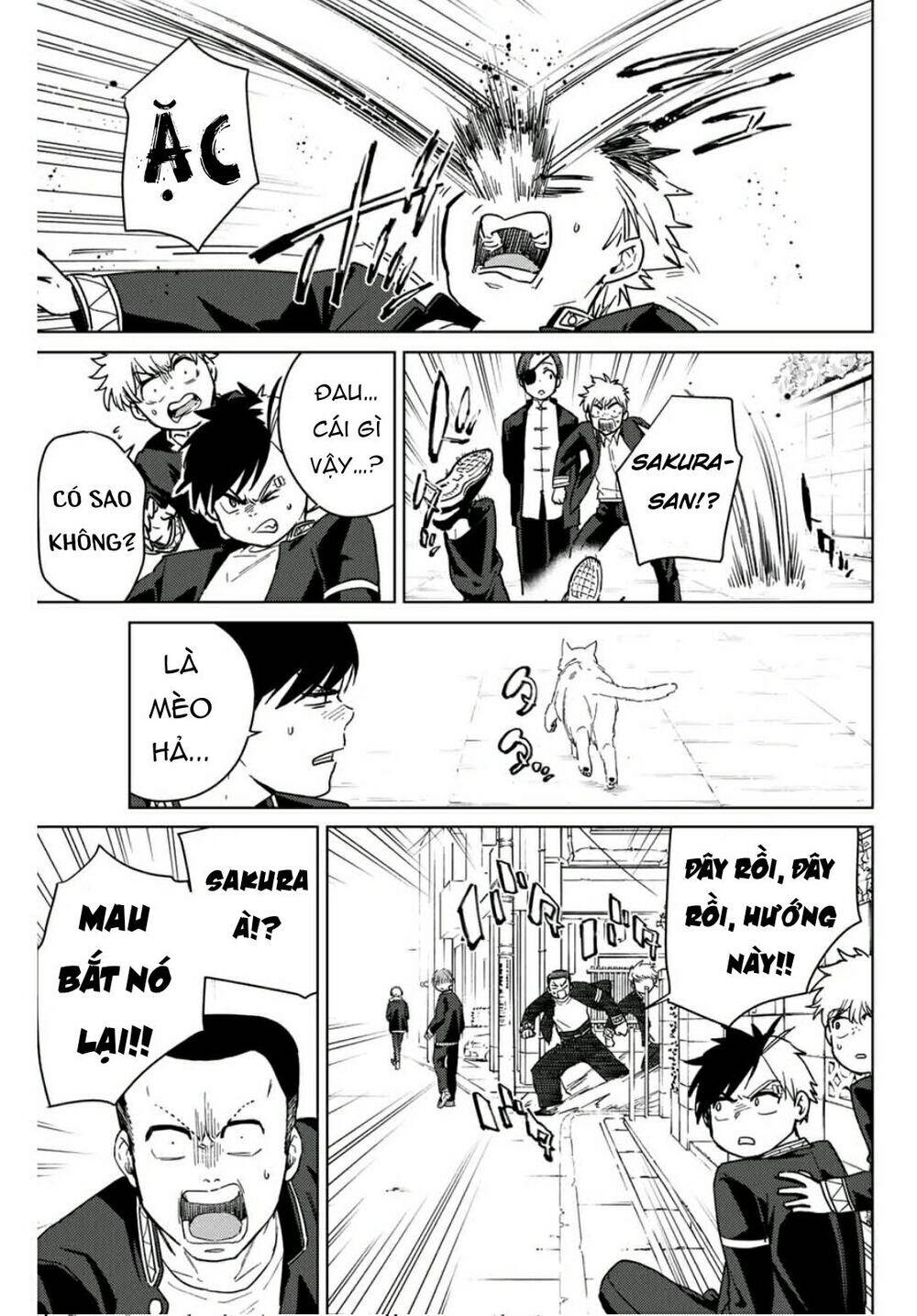 page_19.jpg