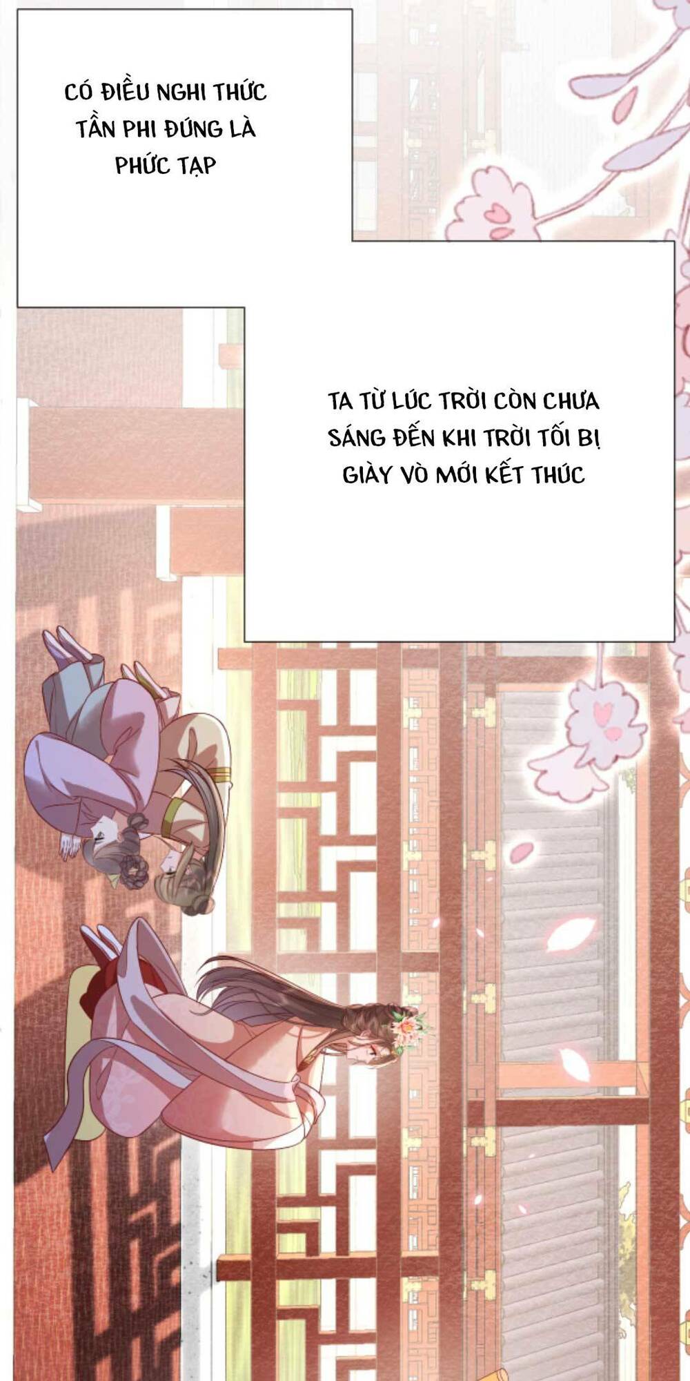 page_24.jpg
