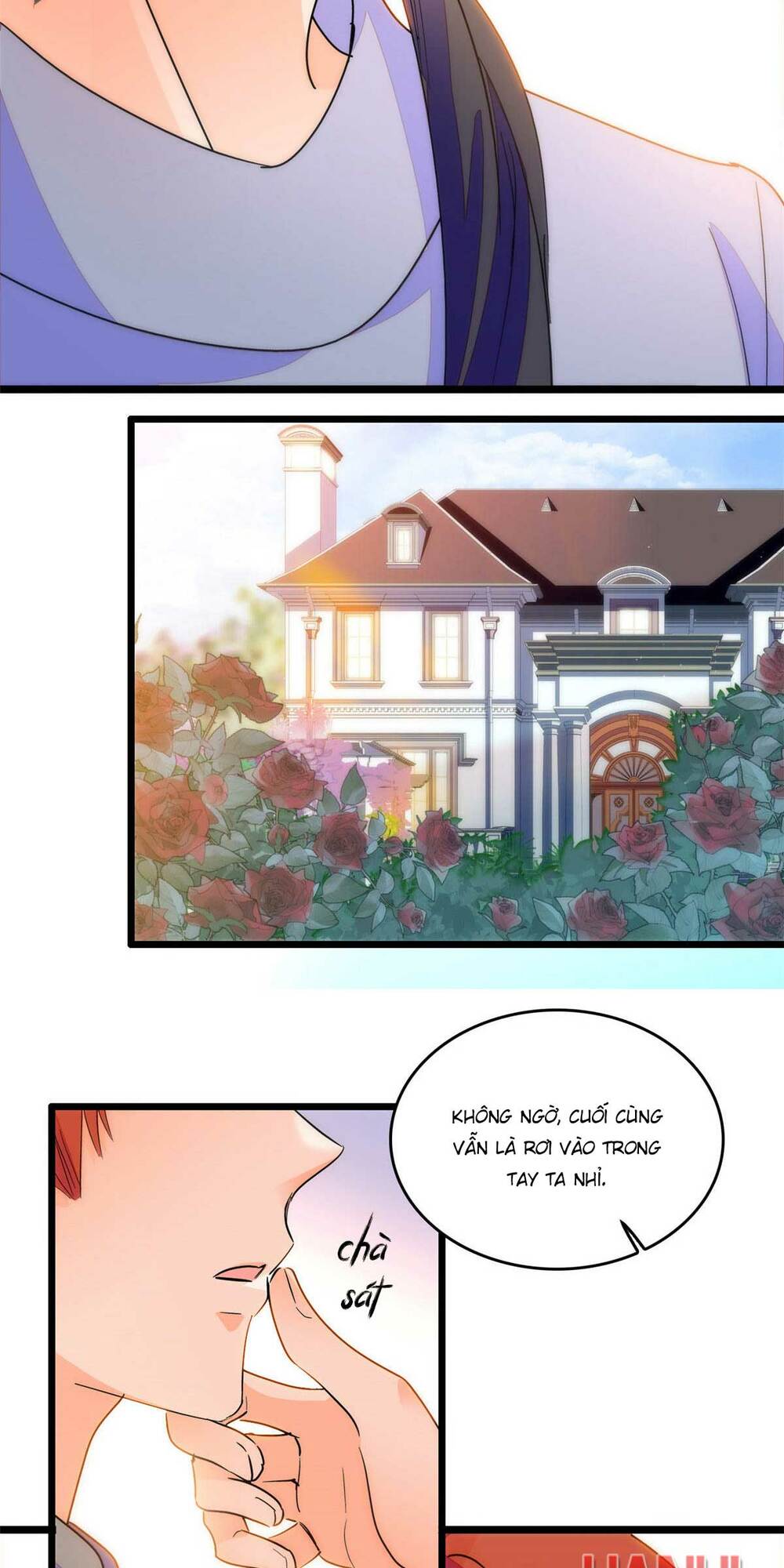 page_21.jpg